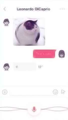 网站ddos隐藏源ip